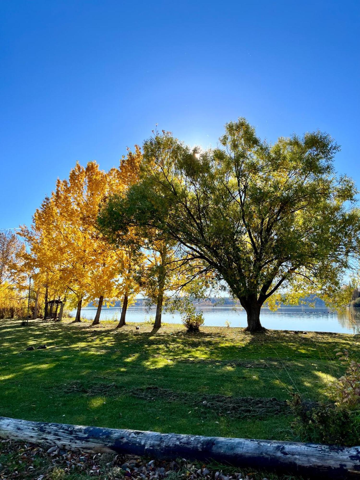 Roberts Roost Resort Quesnel Εξωτερικό φωτογραφία